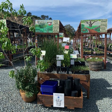 Native nursery near me - The NZ Native Plant Nursery has filled the market gap left by the defunct Waiuku operation, The Native Plant Nursery, and is producing high quality New Zealand native plant stock. Run by Michelle Gorissen, NZ Native Plant Nursery currently offers 50 species of New Zealand native plants and is continuing to expand the range... 